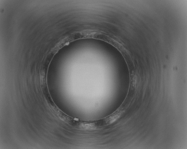 X0000084550283200703091727