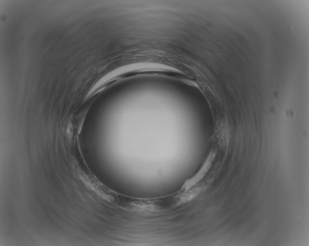 X0000084550284200703091727