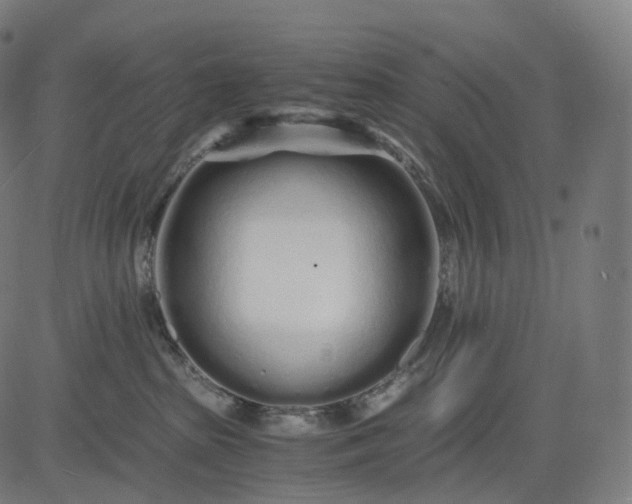 X0000084550285200703091727