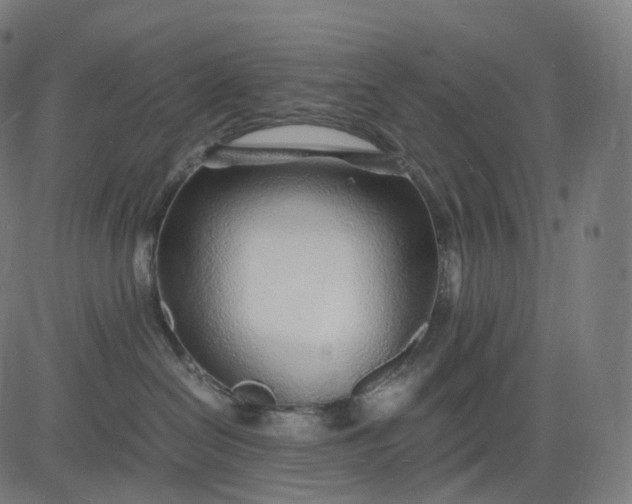 X0000084550286200703091727