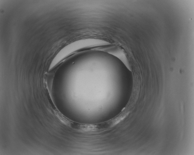 X0000084550288200703091727