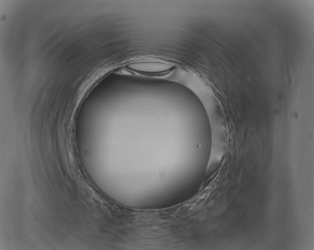 X0000084550289200703091726