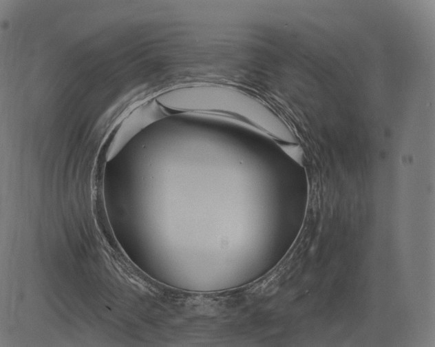 X0000084550290200703091726