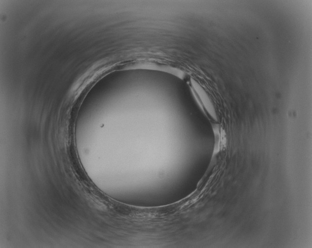 X0000084550291200703091726