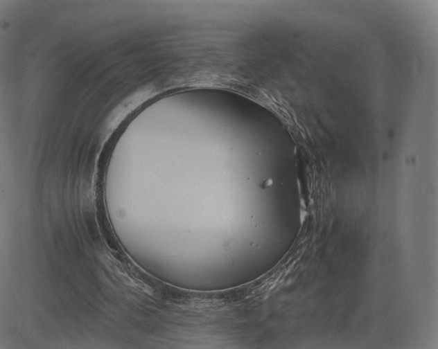 X0000084550292200703091726