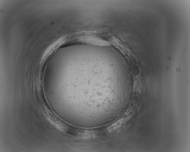 X0000084550293200703091726