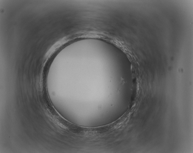 X0000084550296200703091726