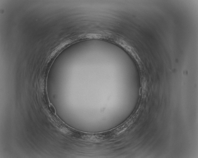 X0000084550297200703091726