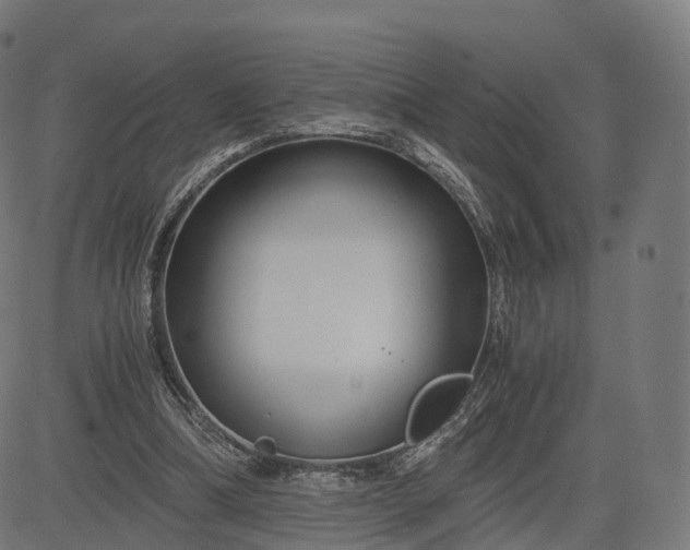 X0000084550298200703091726