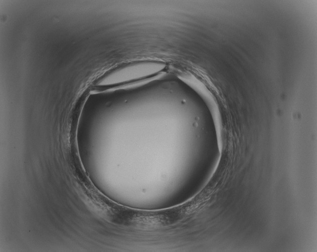 X0000084550299200703091726