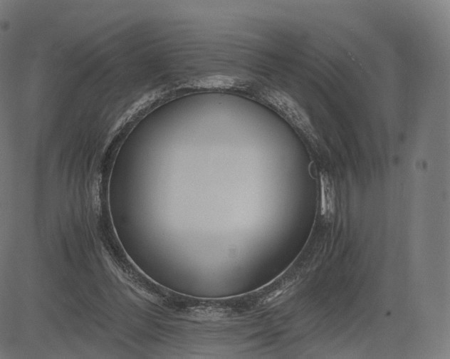 X0000084550300200703091726