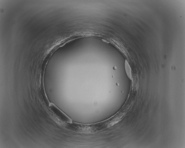 X0000084550301200703091726