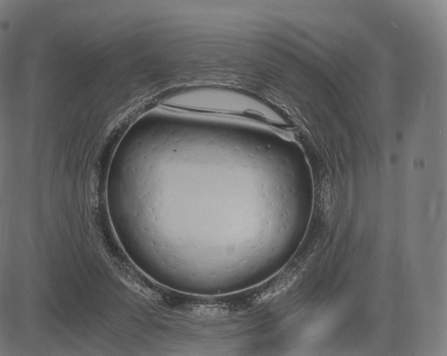 X0000084550303200703091726