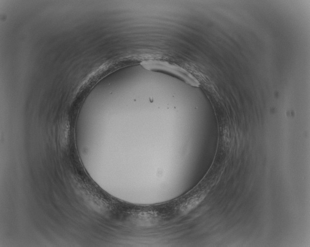 X0000084550304200703091726