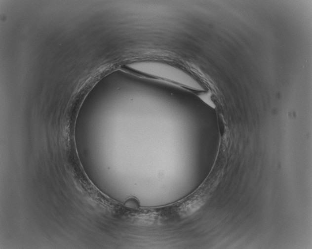 X0000084550306200703091726