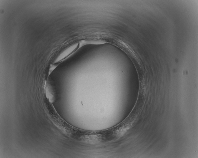 X0000084550307200703091726