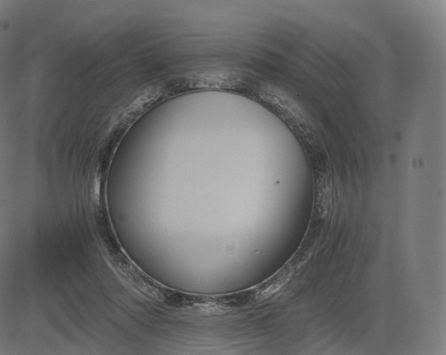 X0000084550310200703091726