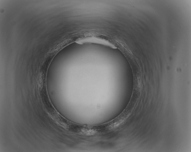 X0000084550311200703091726