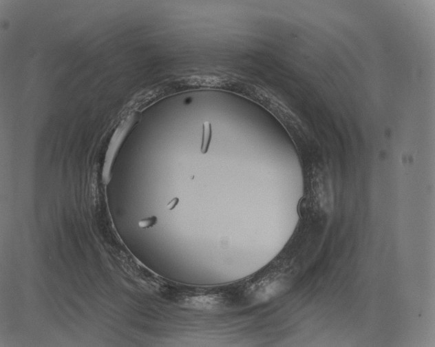 X0000084550312200703091726