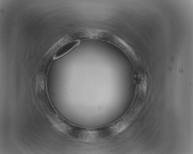 X0000084550313200703091726