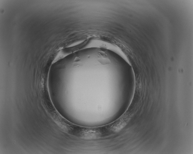 X0000084550315200703091726