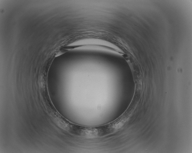 X0000084550317200703091726