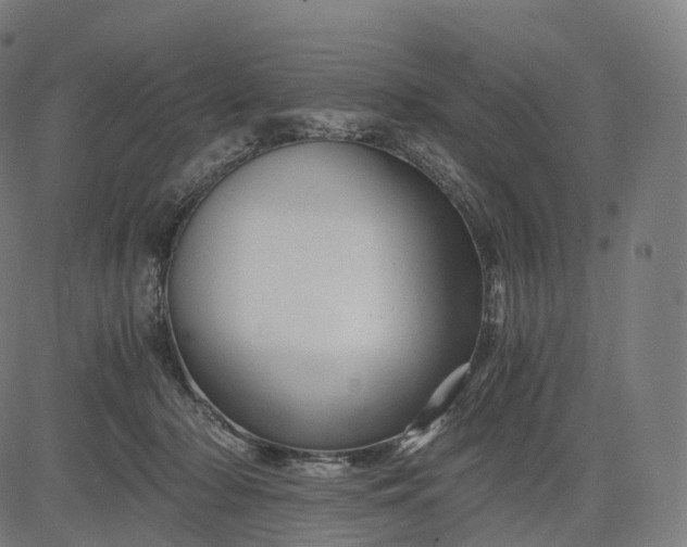 X0000084550318200703091726