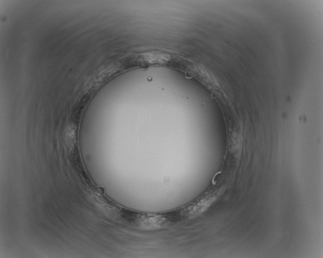 X0000084550321200703091726