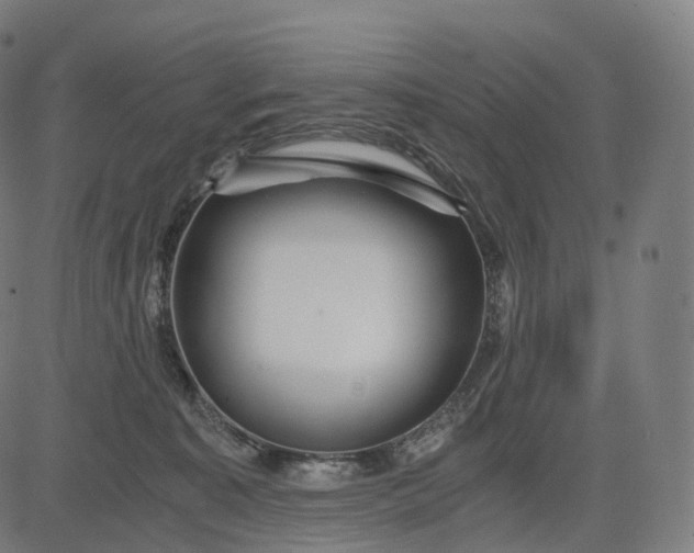 X0000084550323200703091726