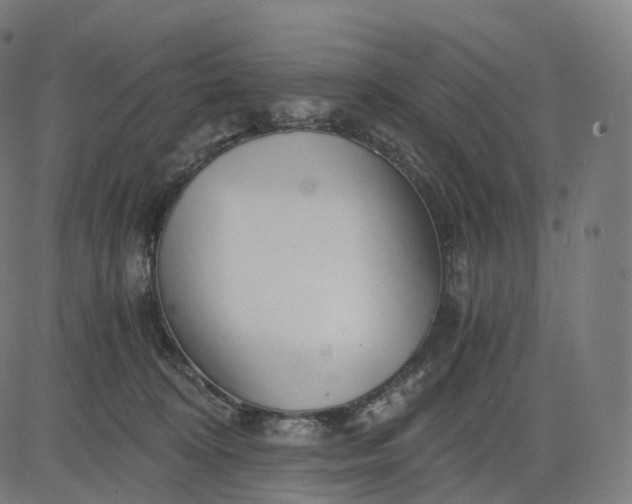 X0000084550324200703091726