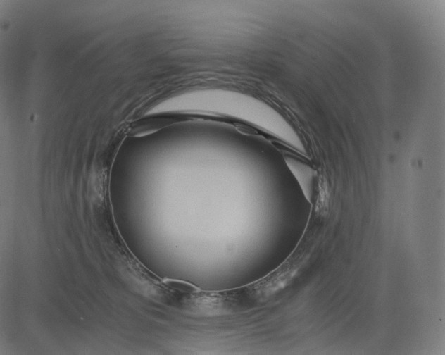 X0000084550325200703091726