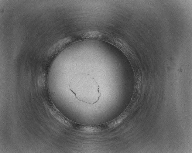 X0000084550326200703091726