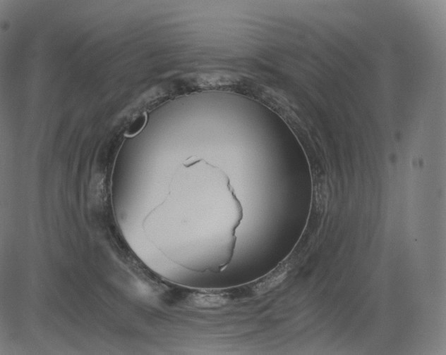 X0000084550327200703091726