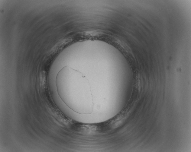 X0000084550328200703091726