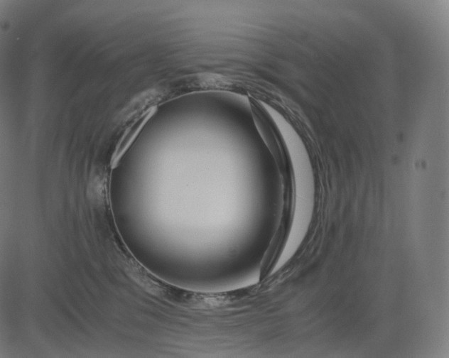 X0000084550329200703091726