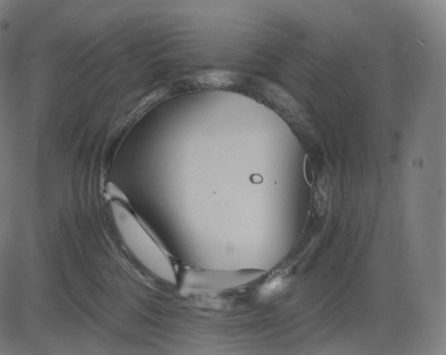 X0000084550330200703091726