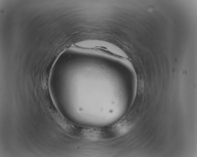 X0000084550331200703091726