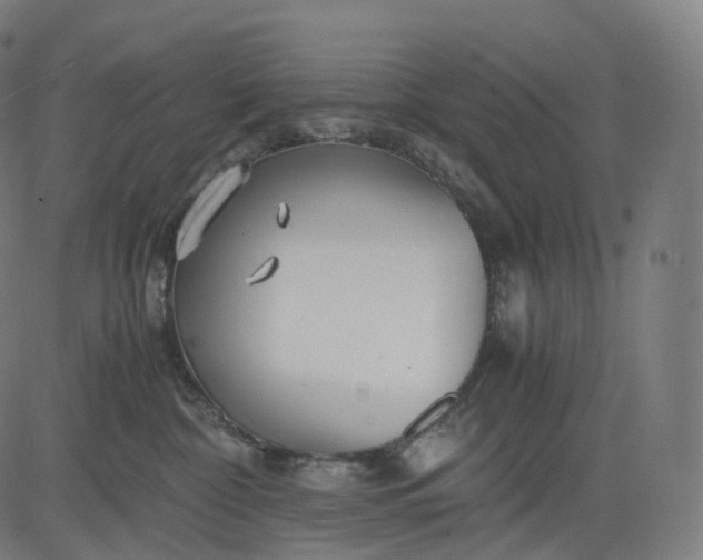 X0000084550332200703091726