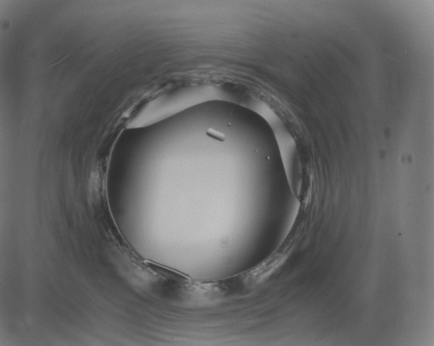 X0000084550333200703091726