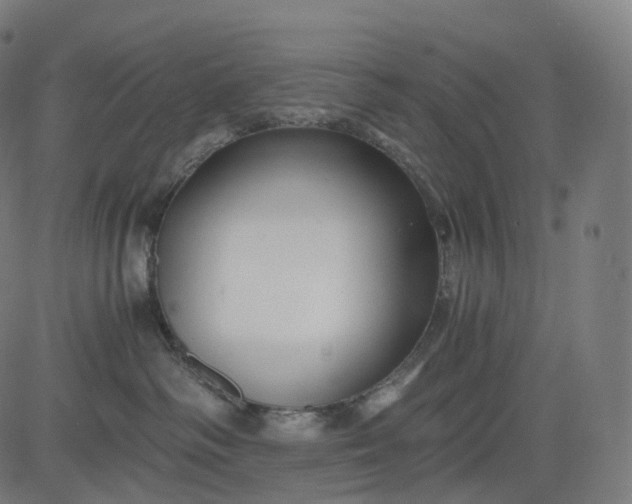 X0000084550334200703091726