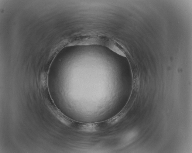 X0000084550335200703091726