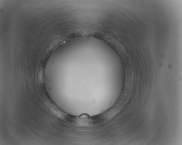 X0000084550336200703091726