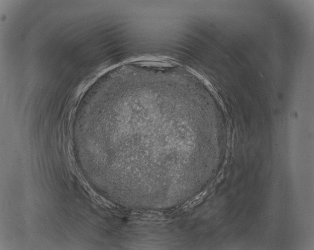 X0000084550337200703091725