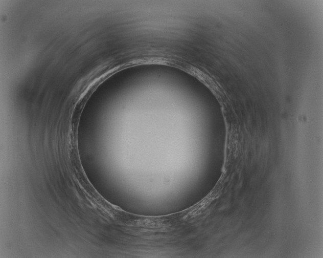 X0000084550338200703091725