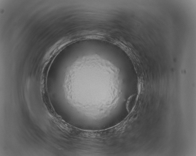 X0000084550339200703091725