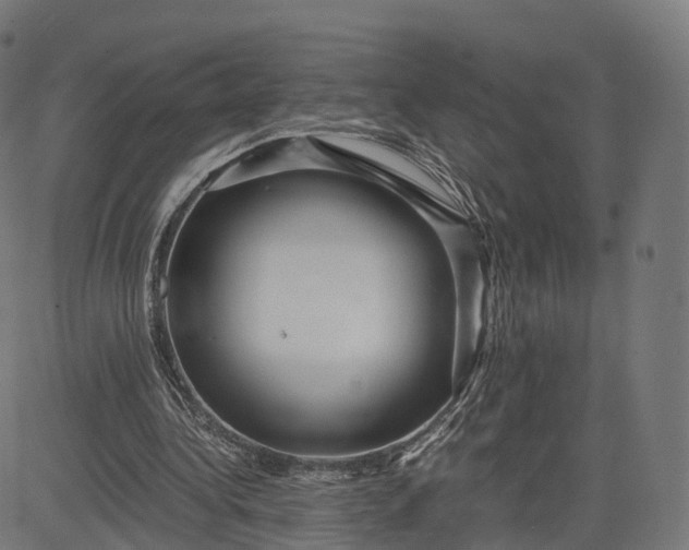 X0000084550340200703091725