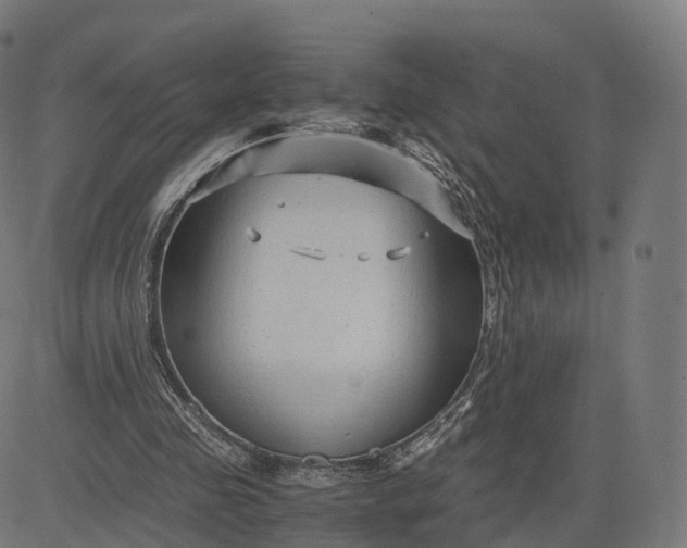 X0000084550341200703091725