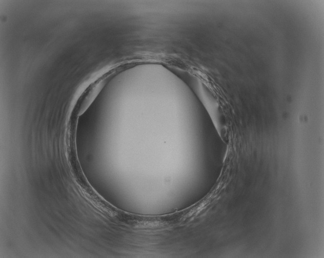 X0000084550342200703091725