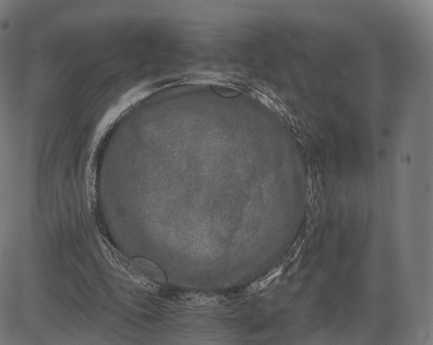 X0000084550343200703091725