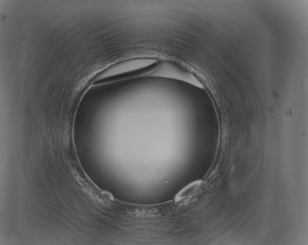 X0000084550345200703091725